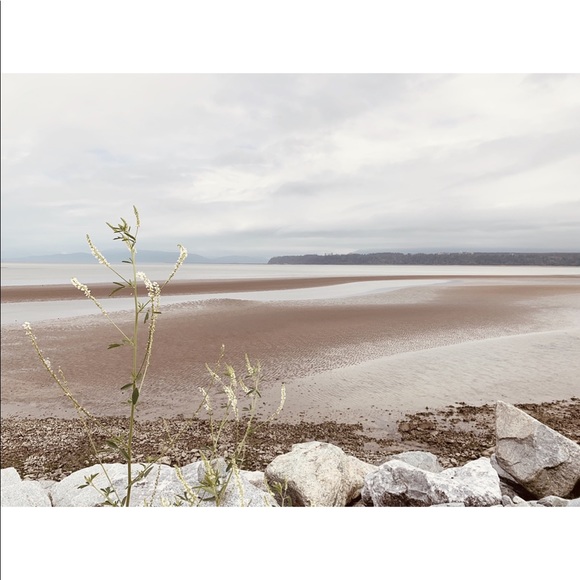 Meet your Posher, S - Picture 1 of 1